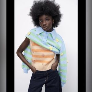 ZARA blogger fav embroider crochet flower knit vest